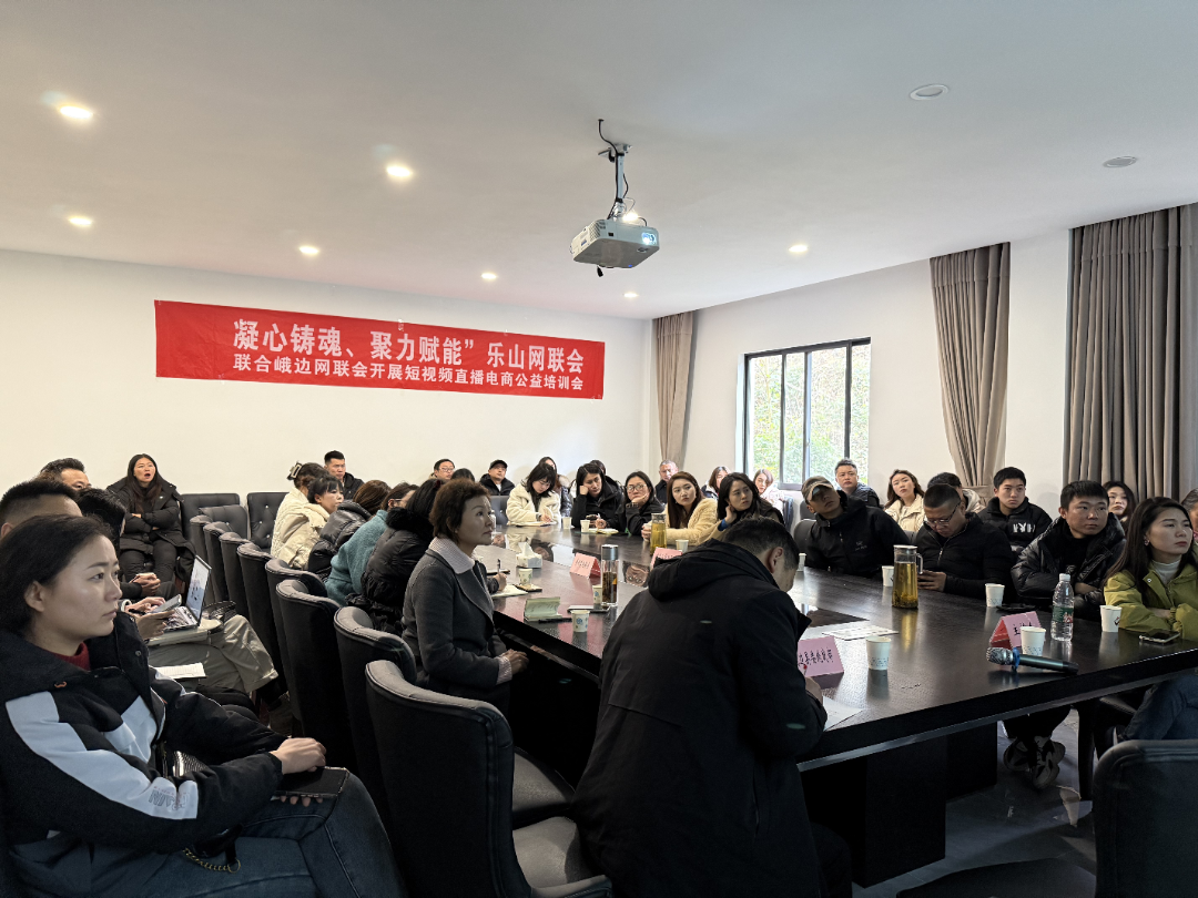 【网络统战工作】